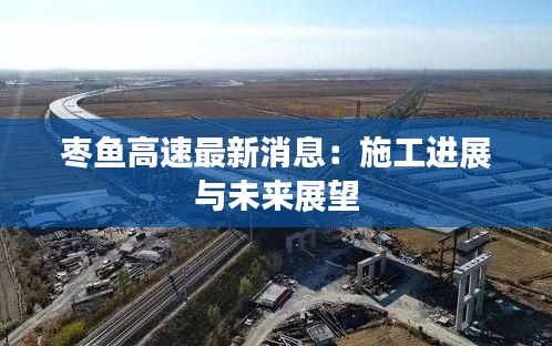 枣鱼高速最新消息：施工进展与未来展望