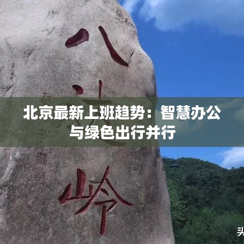 第1591页