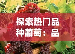 探索热门品种葡萄：品味自然的甘醇与多彩世界