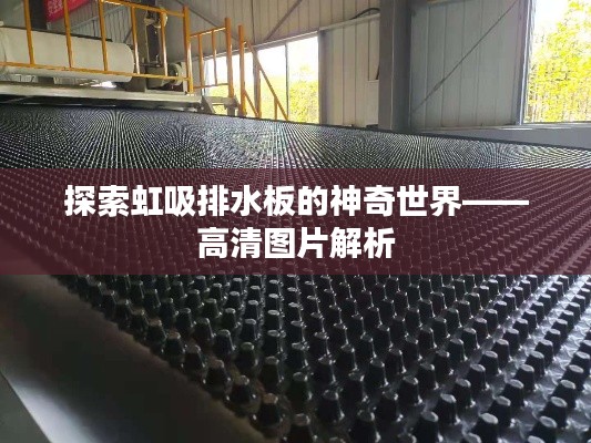 行业新闻 第194页