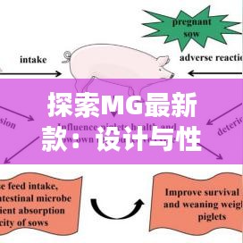 探索MG最新款：设计与性能的完美融合
