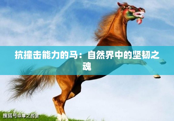 抗撞击能力的马：自然界中的坚韧之魂