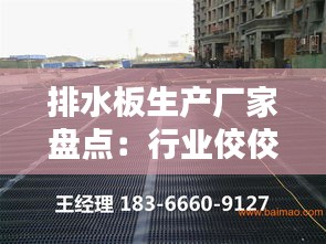 排水板生产厂家盘点：行业佼佼者一览无余
