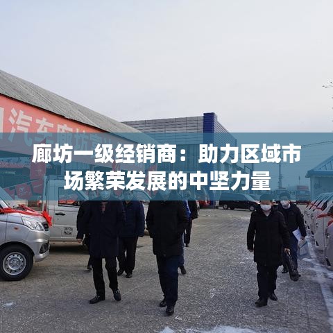 廊坊一级经销商：助力区域市场繁荣发展的中坚力量