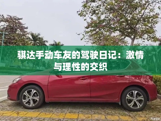 骐达手动车友的驾驶日记：激情与理性的交织