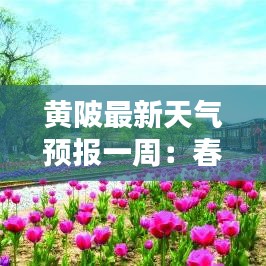 黄陂最新天气预报一周：春意盎然，气温回升，降水适中