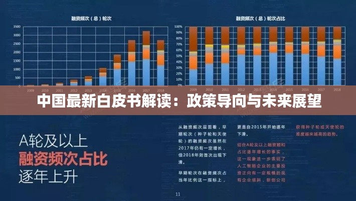 中国最新白皮书解读：政策导向与未来展望