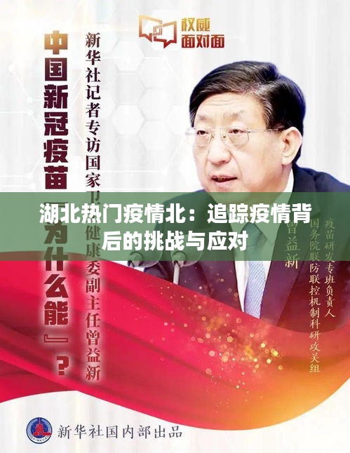 湖北热门疫情北：追踪疫情背后的挑战与应对