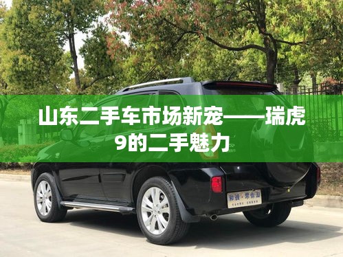 人杰地灵 第3页