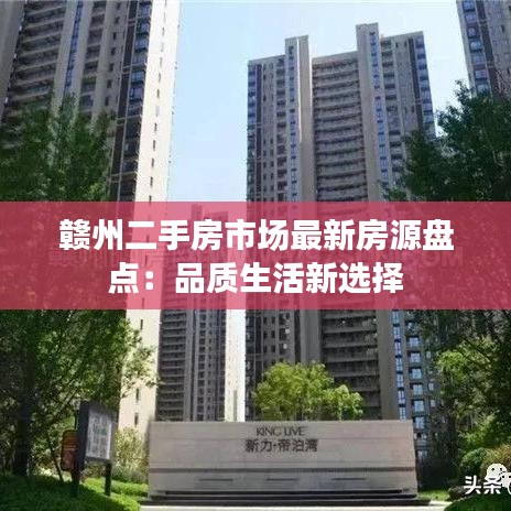钗荆裙布 第3页