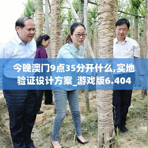 今晚澳门9点35分开什么,实地验证设计方案_游戏版6.404
