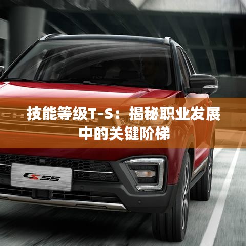技能等级T-S：揭秘职业发展中的关键阶梯