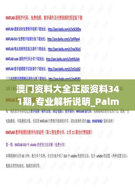 澳门资料大全正版资料341期,专业解析说明_PalmOS18.966