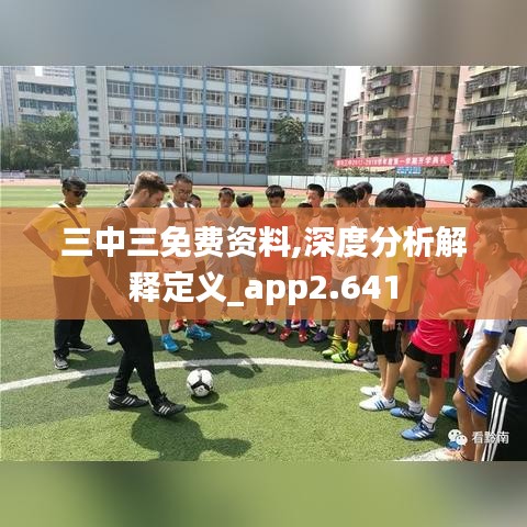 三中三免费资料,深度分析解释定义_app2.641