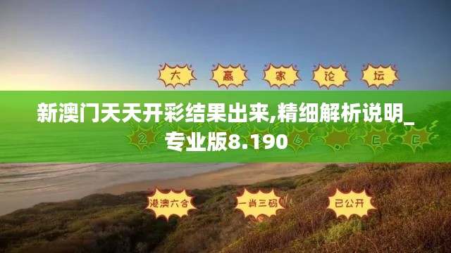新澳门天天开彩结果出来,精细解析说明_专业版8.190