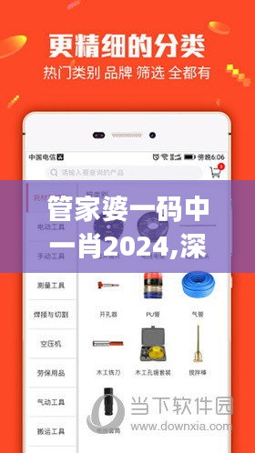 管家婆一码中一肖2024,深入执行数据应用_Prime6.818
