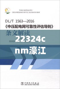 22324cnm濠江论坛,可靠评估解析_Essential1.383