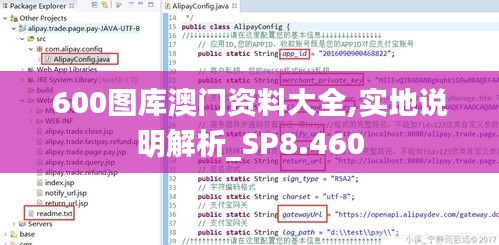 600图库澳门资料大全,实地说明解析_SP8.460