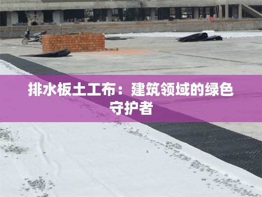 排水板土工布：建筑领域的绿色守护者