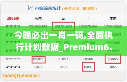 今晚必出一肖一码,全面执行计划数据_Premium6.458