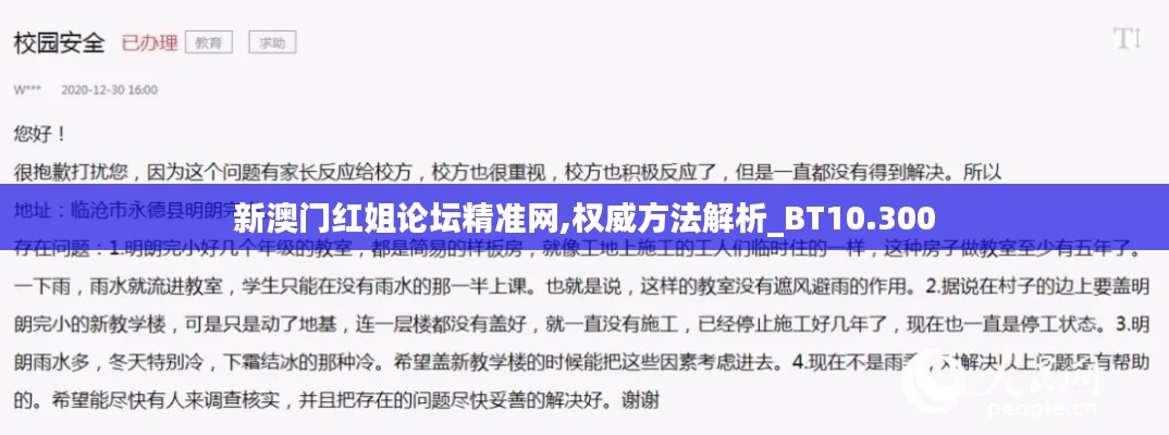 新澳门红姐论坛精准网,权威方法解析_BT10.300