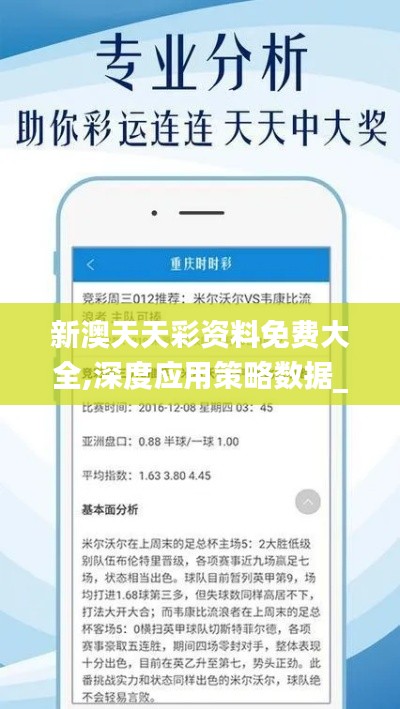 新澳天天彩资料免费大全,深度应用策略数据_经典版3.861