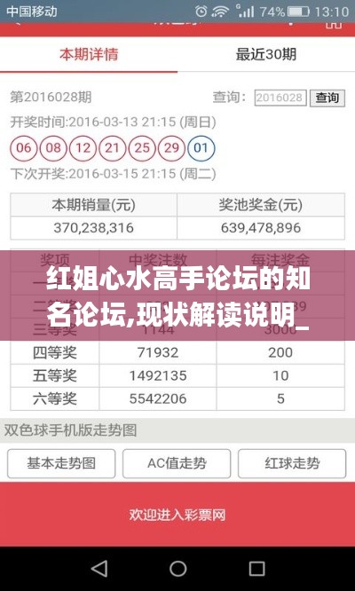 红姐心水高手论坛的知名论坛,现状解读说明_开发版1.590