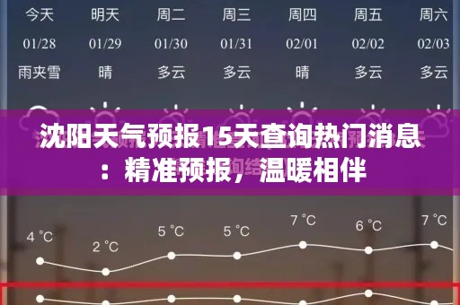 沈阳天气预报15天查询热门消息：精准预报，温暖相伴