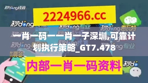 一肖一码一一肖一子深圳,可靠计划执行策略_GT7.478