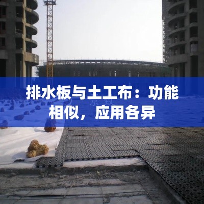 炙手可热 第3页