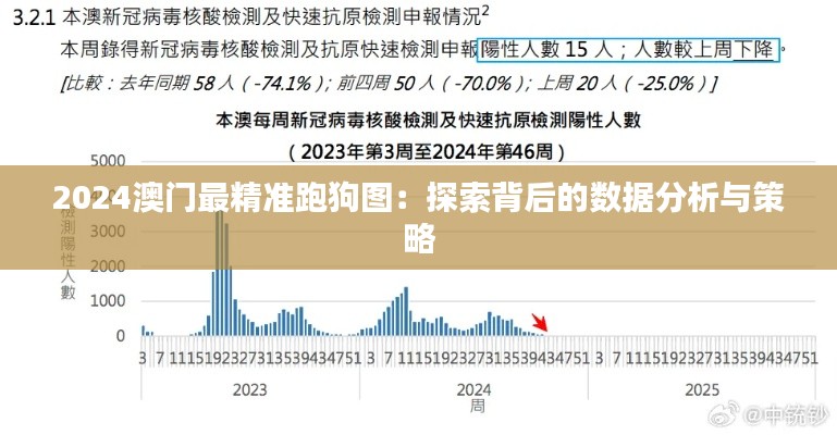 2024澳门最精准跑狗图：探索背后的数据分析与策略