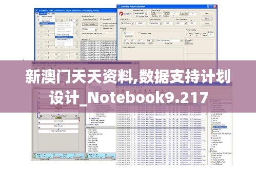 新澳门天天资料,数据支持计划设计_Notebook9.217