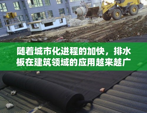 随着城市化进程的加快，排水板在建筑领域的应用越来越广泛。作为排水板厂家，我们致力于为客户提供优质的产品和服务。本文将为您详细介绍排水板厂家直销的优势、产品特点以及如何选择合适的排水板。