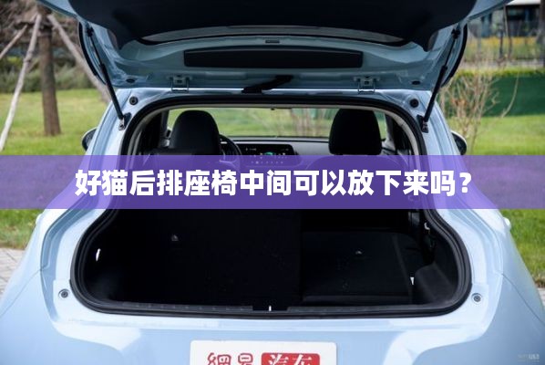 好猫后排座椅中间可以放下来吗？