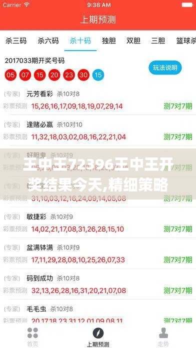 王中王72396王中王开奖结果今天,精细策略定义探讨_1080p6.382