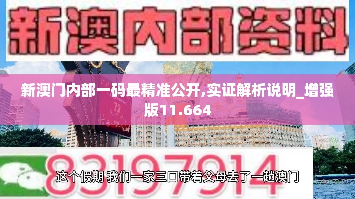 新澳门内部一码最精准公开,实证解析说明_增强版11.664