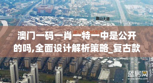 澳门一码一肖一特一中是公开的吗,全面设计解析策略_复古款2.528