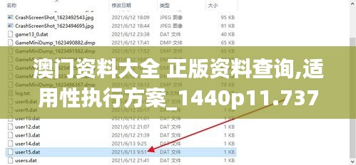 澳门资料大全 正版资料查询,适用性执行方案_1440p11.737