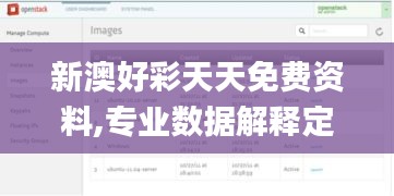 新澳好彩天天免费资料,专业数据解释定义_Harmony款7.671