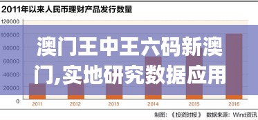 澳门王中王六码新澳门,实地研究数据应用_1440p15.692