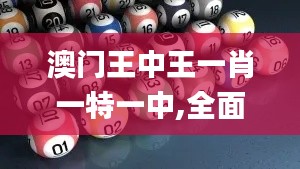 澳门王中王一肖一特一中,全面理解计划_经典版10.234