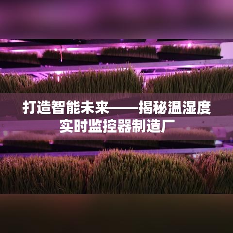 雅人清致 第2页