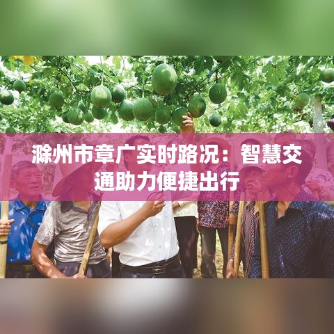 滁州市章广实时路况：智慧交通助力便捷出行