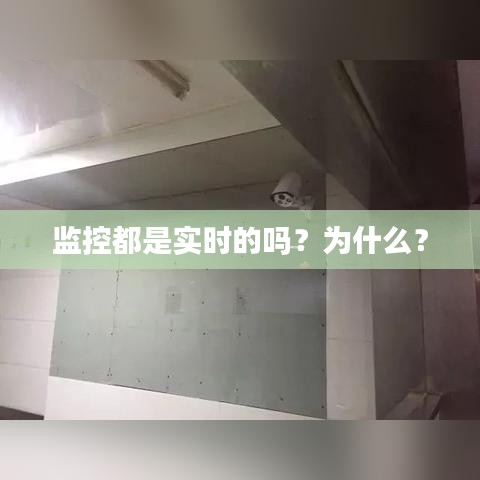 虫言鸟迹 第2页