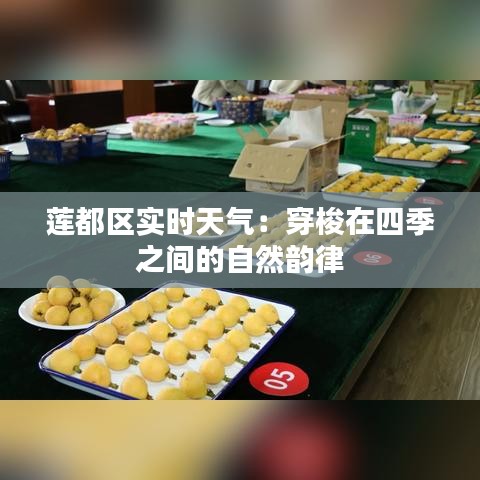 莲都区实时天气：穿梭在四季之间的自然韵律