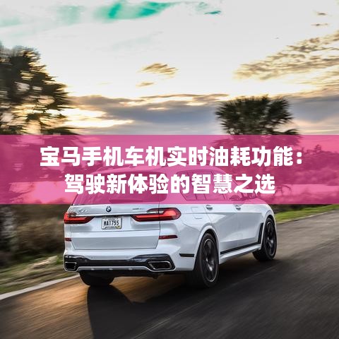 宝马手机车机实时油耗功能：驾驶新体验的智慧之选