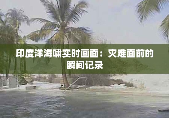 印度洋海啸实时画面：灾难面前的瞬间记录