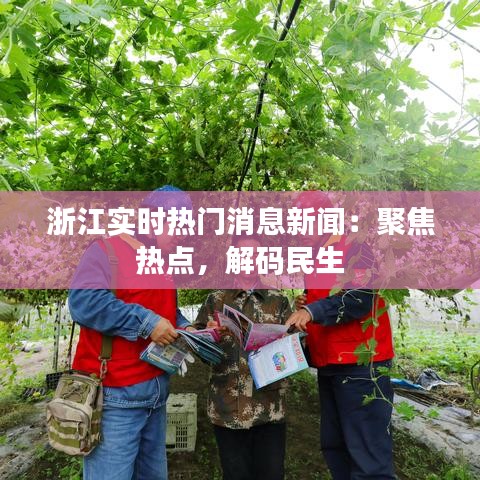 浙江实时热门消息新闻：聚焦热点，解码民生