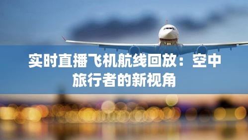 实时直播飞机航线回放：空中旅行者的新视角