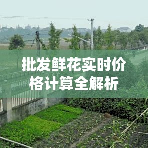 司空见惯 第2页